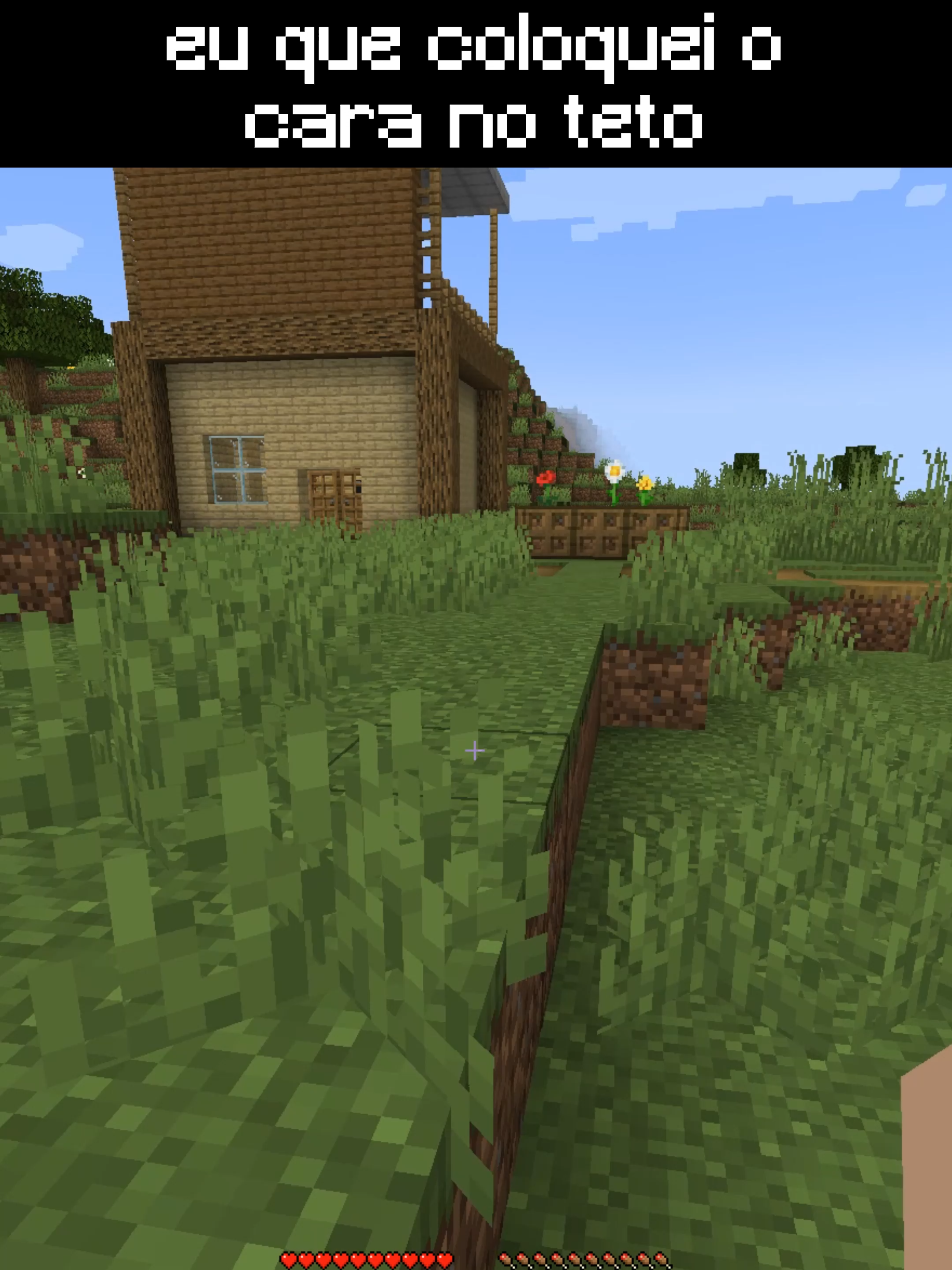 eu que coloquei o cara no teto #minecraftmememes #fy #Minecraft