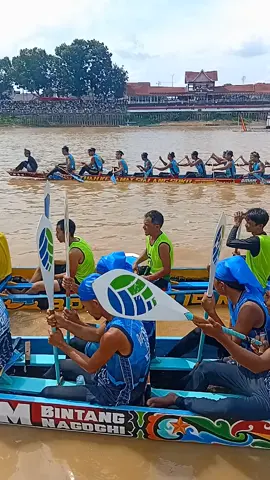 Pacu Jalur HUT Kabupaten Kuantan singingi🔥🔥🔥 #pacujalur #longboat #woodworking #pacujalurviral