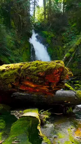 #هل_انبئكم_على_من_تنزل_الشياطين #عبدالله_الموسى_تلاوات_خاشعه_الطبيعه_الخلابه #اجمل_مناظر_طبيعية_خلابه_ساحره_في_العالم_سويسرا_النرويج_ايسلند #راحه_نفسيه🖤🎧 #المناظر_الطبيعيه_الخلابه 