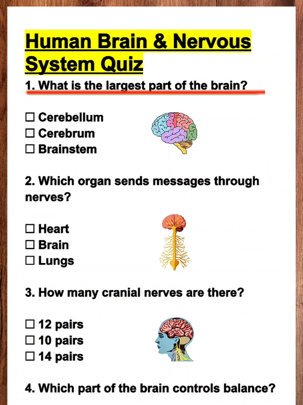 Human Brain & Nervous System Quiz | Can you answer 7/7? #quiz #quizchallenge #quiztime #human #trivia 