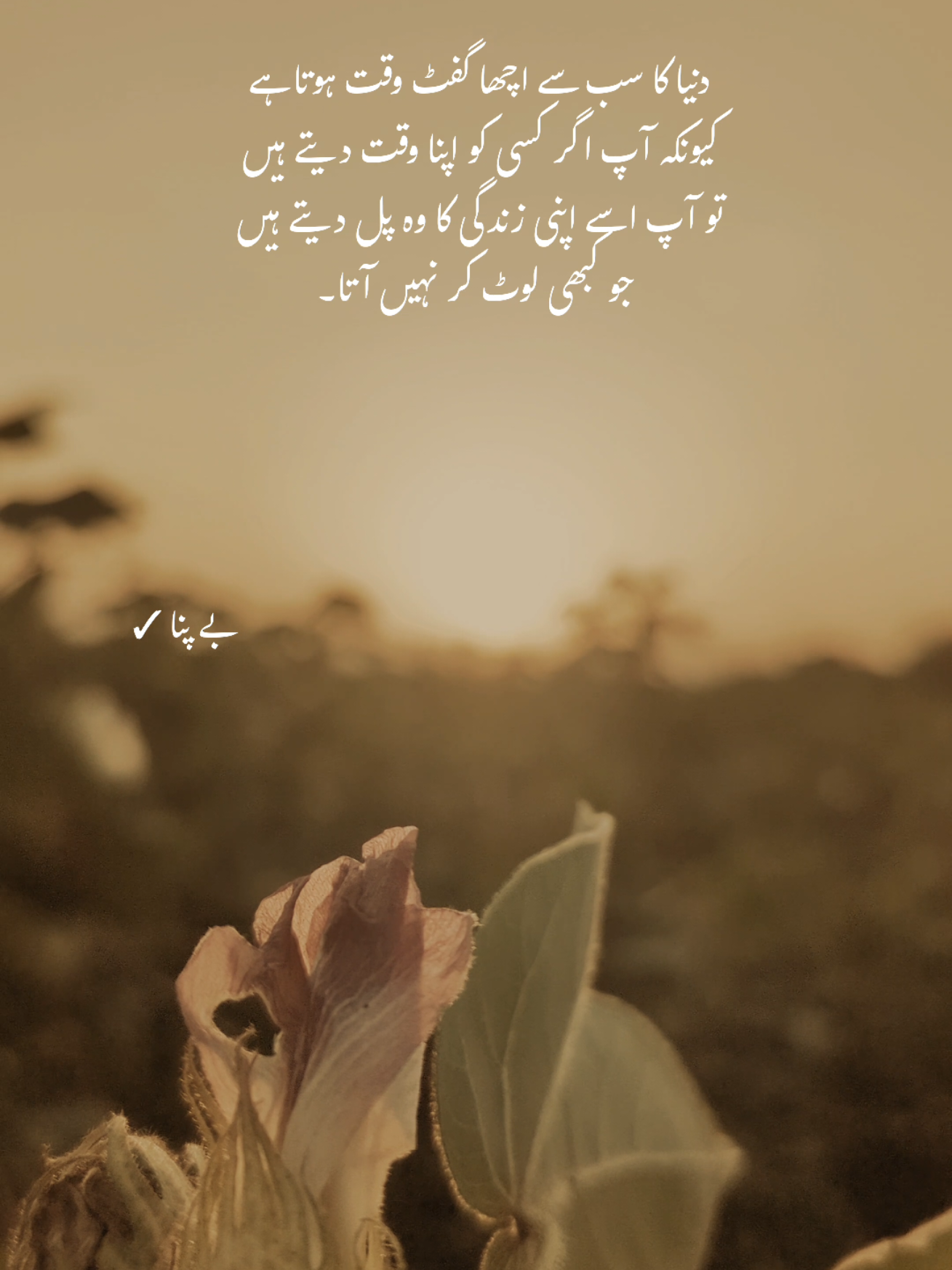 Deep words ❤️‍🩹 #1millionaudition #asthetic #poetrystatus #foryou #fypp 