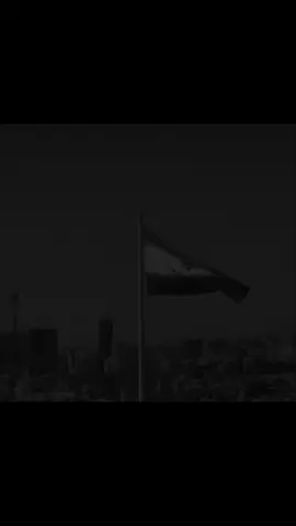 المنتخب الايراني #المنتخب_الايراني #ايران #ايران🇮🇷 #مهدي_الطارمي #كاس_العالم 