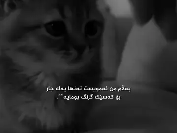 😍💔. #foryou #foryoupage #fyp 