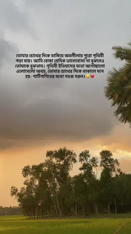 তোমার চোখের দিকে তাকিয়ে অবলীলায় পুরো পৃথিবী পড়া যায়। আমি বোকা প্রেমিক ভালোবাসা না বুঝলেও তোমাকে বুঝতাম। পৃথিবী ইতিহাসের মতো অগোছালো এলোমেলো অথচ, তোমার চোখের দিকে তাকালে মনে হয়- পাটিগণিতের মতো সহজ সরল |#Ou#Outfitwok berwarna #fyp 