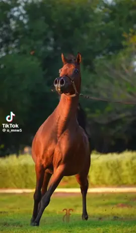 #الله_اكبر 