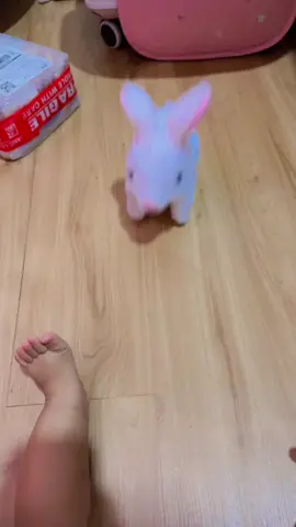 Mainan barunya lucu rara,yuk sama pasti anak suka🤭🤣🤣🤣#gemes#lucu#bonekakelinci 