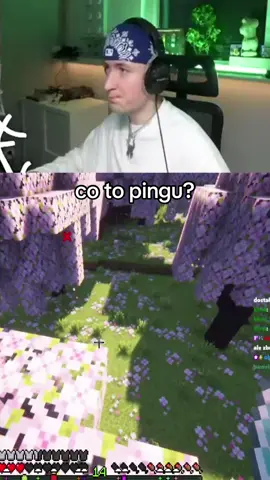 🎬 twitch.tv/zeamsonelive [@Zeamsone]  #zeamsone #twitch #live #shot #stream 