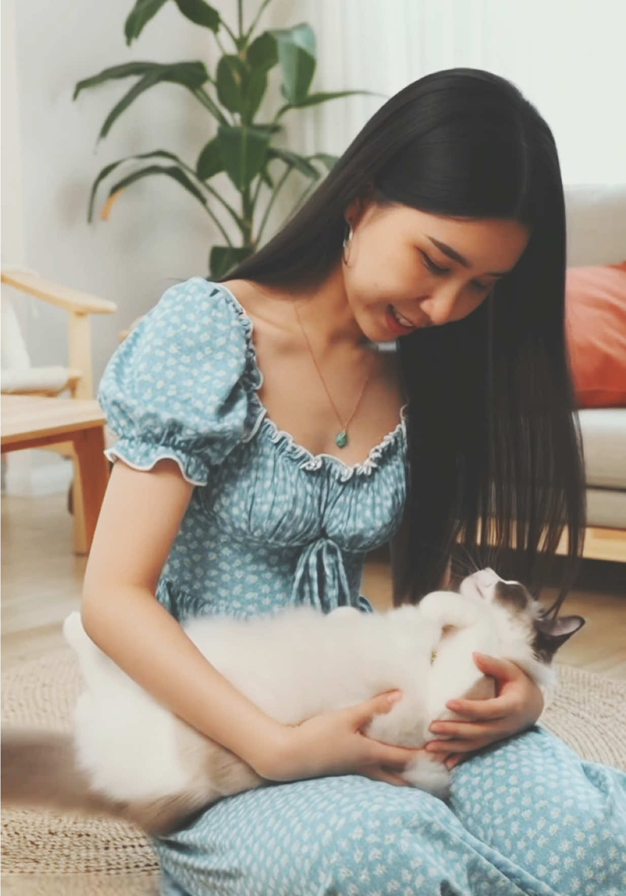✨ Cozy time at home with my fluffy baby 🐱 Nothing makes me happier than moments like this. 💕 #HomeVibes #CatLover #FluffyCat #CatMom #CozyHome      