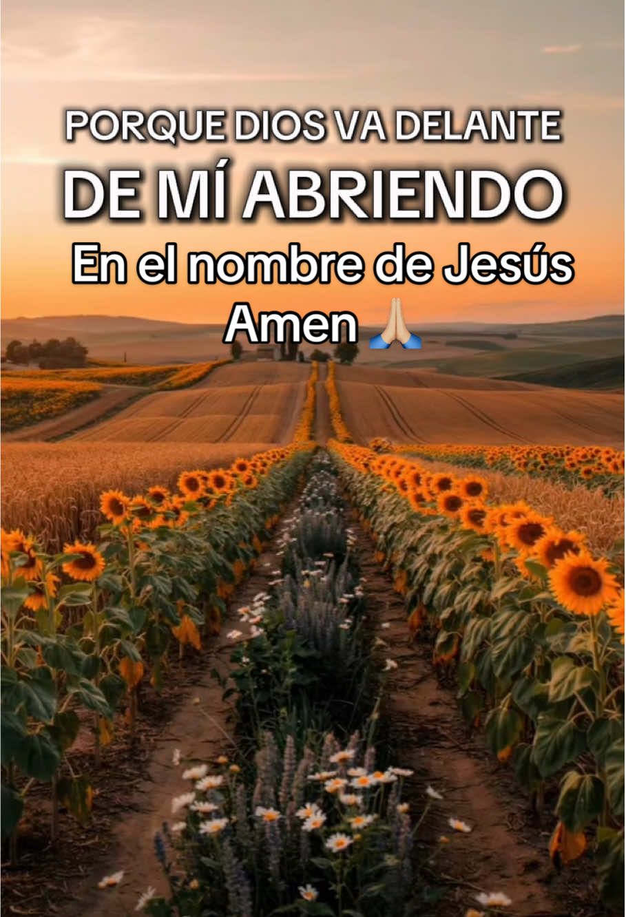 #sidioscontigoquiencontrati #diosesamor #oracion #agradecidacondios 🙏🏼♥️🫰🏼 #bendiciones🌹❤️🙌🏻🙌🏻🙏 