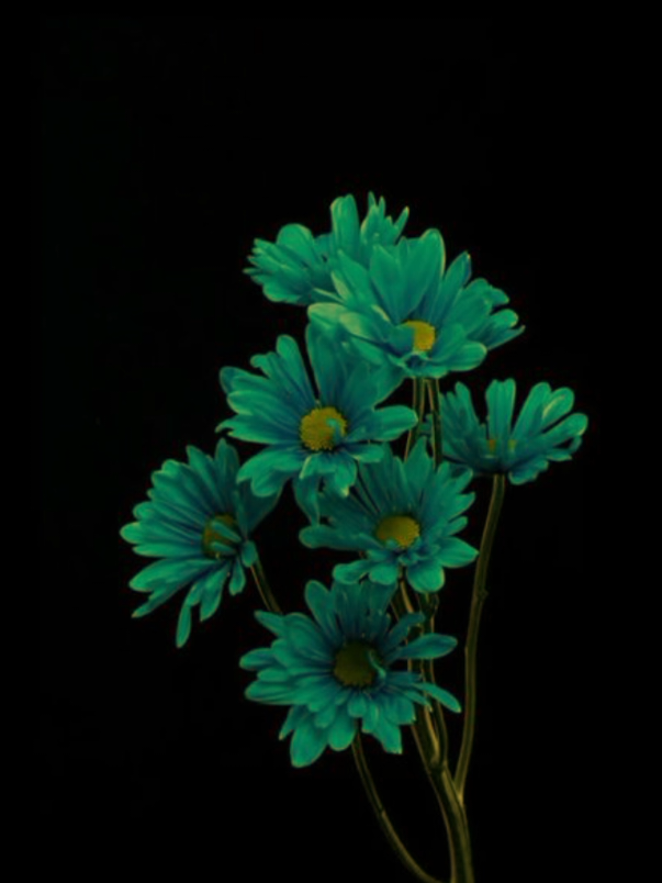 -ঘুমের ঘরে তোমায় দেখি তুমি আসো পাশে (:😅💔 #বাংলায়_স্ট্যাটাস #bangla_song #bd_status_lover_007 #foryou @TikTok 