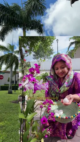 আমেরিকায়,অনেক বেশি নিয়ম কানুন মেনে চলতে হয়. #usa #Lifestyle #florida #people 