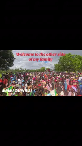 Miami Carnival #miamicarnival #viral 