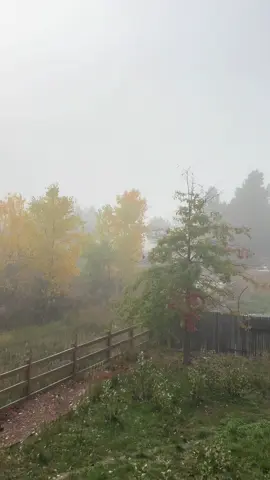 #calor #clima #Otoño #humor #viral 