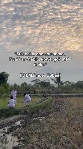 #b #foryoupage #nahdlatululama #xybca #arabicquotes 