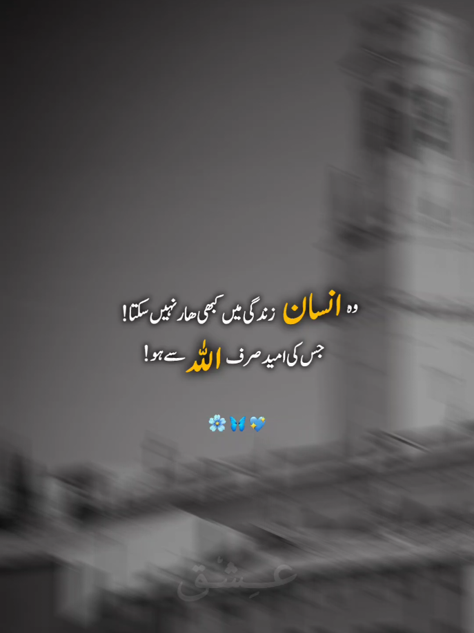 زندگی میں کبھی ھار نہیں سکتا  جس کی امید صرف اللہ سے ہو #unfreezemyacount #foryoupageofficiall #foryoupage #fyp #عِش٘ق 