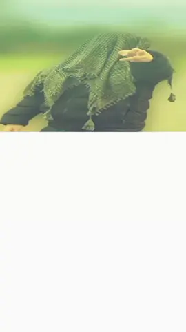 za Ghar yam ka da zeni zeni khalaq zanawar✌️💫💫✌️💫✌️💞💞💞💫💫#mylove #danger #Foryou #myaccountunfreze🙏🥺😭😭😭😭😭😭😭😭😭 #pleztiktokdontundrreviwmmyvideo 