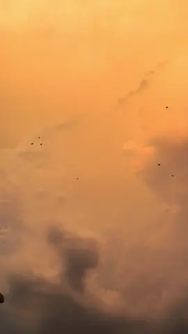 #الكنق #تيدي_قولدن_حمام_باكستاني_كاسوري_سيالكوت #حمام_باكستاني #لاكا #اساسيات_الصيف 