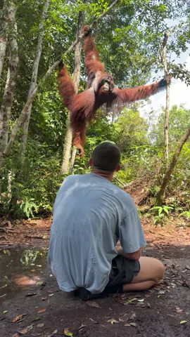 Exploring Borneo #indonesia🇮🇩 #borneo #fypシ゚viral 