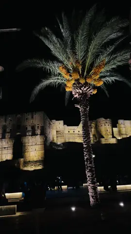 حَلَبٌ لِلوَارِدِ… جَنَّةُ عَدْنٍ 🤍 #حلب  #سوريا🇸🇾  #قلعة_حلب  #syria #explore 