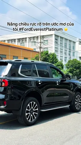 Save my dream #fordeverestplatinum 💫