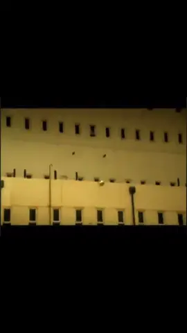 #foryou #הישראלים #מפעלקפיצים