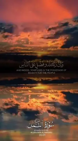 #القرآن_الكريم #الابذكر_الله_تطمئن_القلوب_أذكرو_الله #القران_الكريم_راحه_نفسية😍🕋 #سبحان_الله_وبحمده_سبحان_الله_العظيم 