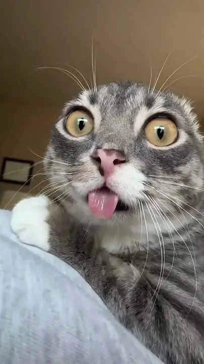 #animefyp #waifu #animeart #aiart 