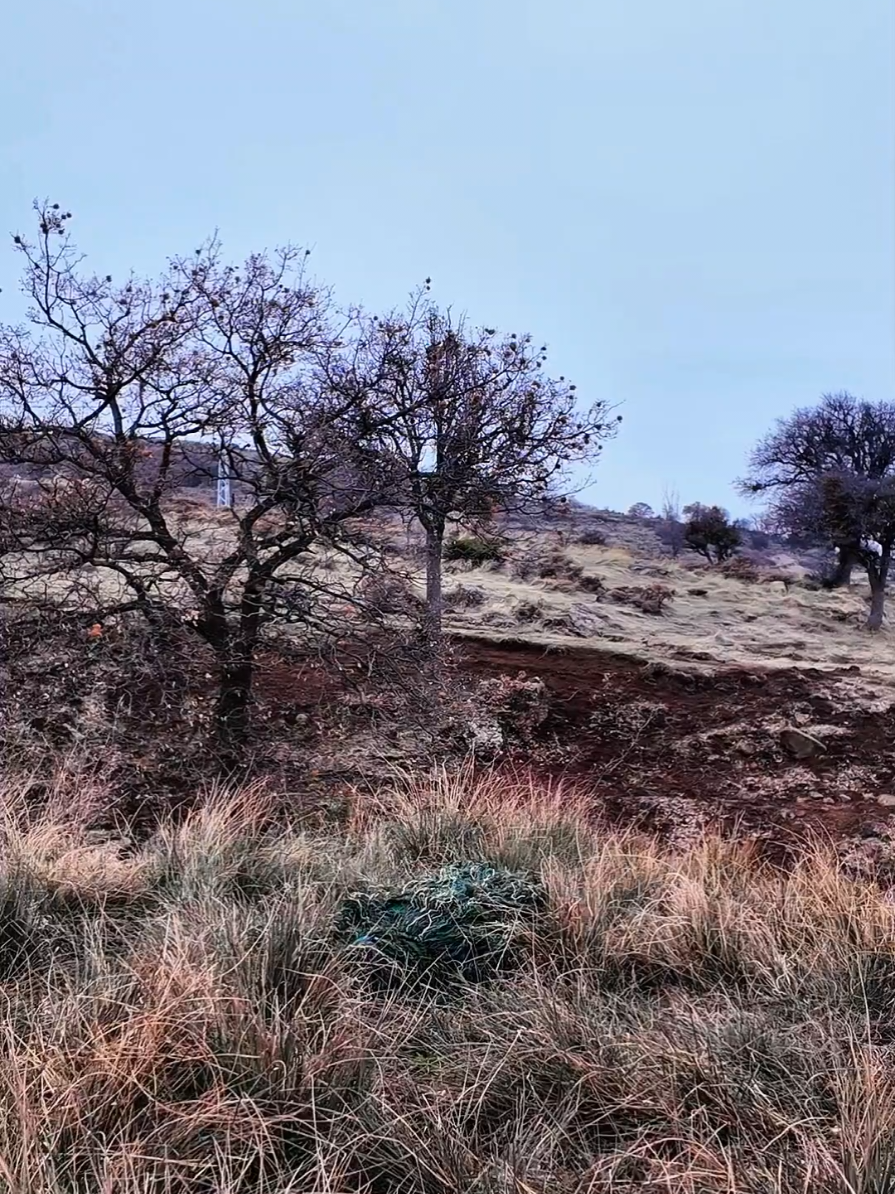 #sniper #military #kralbatros #camouflage 