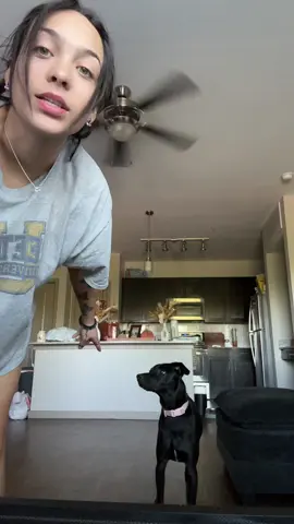 out of all the dogs i had my whole life this the first time im teaching tricks😂 #fyp #puppy #dogtricks #9months 