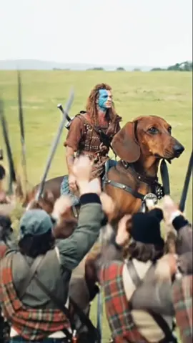 William Wallace rallying his men… and his wiener dog??? 🐶⚔️ Historical accuracy: questionable. Motivation: undeniable. 🐾 #comedy #funnyjokes #humor #darkhumor #fyp 