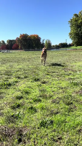 What I’ll see at the end of my life.