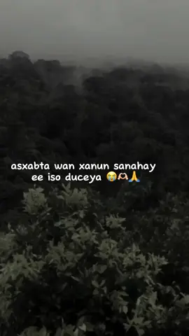 iso duceya 😭🫶🏻🙏#fypシ゚viral🖤tiktok☆♡🦋myvideo🤗foryou #viewslaaan🥺💔😭 #foryoupage #fouryou #fypシ゚ 