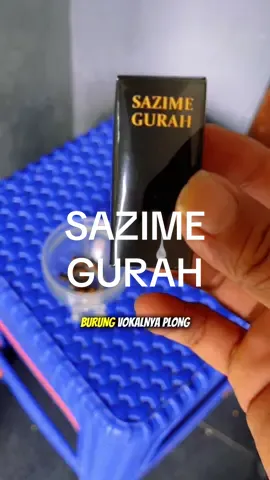 Sazime gurah burung kicauan kalian reaksi lebih cepat #sazimegurah #sazime #obatgurah #gurahburung #kicaumania 