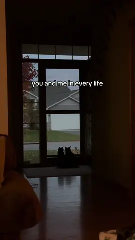 being a cat mom to the twins is my favorite thing #blackcat #blackcatsoftiktok #halloween #catmom 