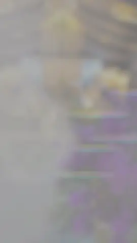 #CapCut amankan tanggalnya bolo #dekorasipernikahan #dekorasimurahponorogo #weddingdecoration #dekorasi 