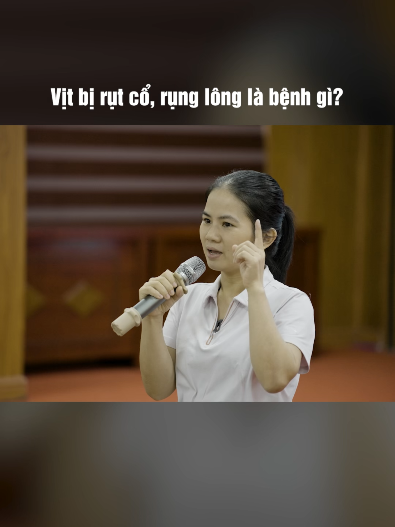 Vịt bị rụt cổ, rụng lông là bệnh gì? #chăn_nuôi #nuôi_vịt #chănvịt #chăn_vịt #chăn_nuôi_vịt