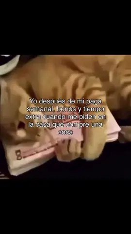 estoy ahorrando chingaos #humor #ahorrando 