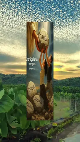 #mifamilia #fpyシviral #catsoftiktok #catrachaaguilar2tiktok 