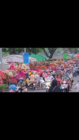 Còn 123 days nữa nha.. #tết2026🌸🌸🧧🎆🎇 #tếtdongđầy #tếtbinhngọ2026🧨🧨 