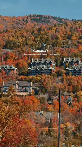 One of the most breathtaking fall drives I’ve ever been on 🍁✨ Every corner looked straight out of a painting. You’ll know you’re getting close to Mont Tremblant when the scenery somehow gets this pretty 🍂🏞️ #fall #canadatravel #quebectravel #montreal #monttremblant 