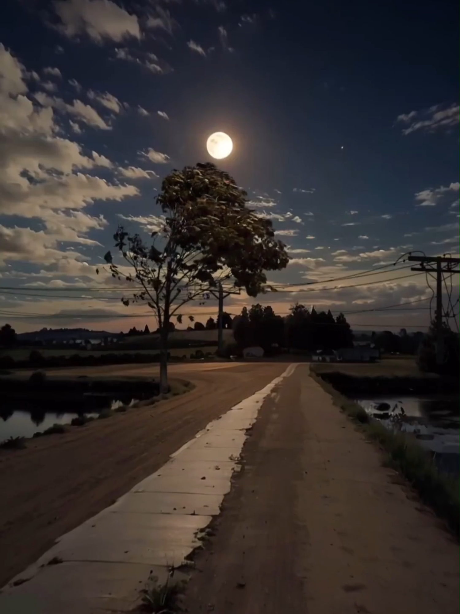 Eternal Memory   #eternalmemory #melodyspot #shorts