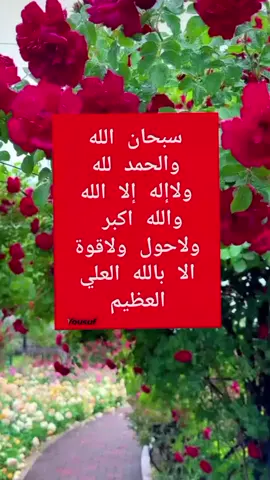 #pyfツ #fouyou #vairal #viraltiktok 