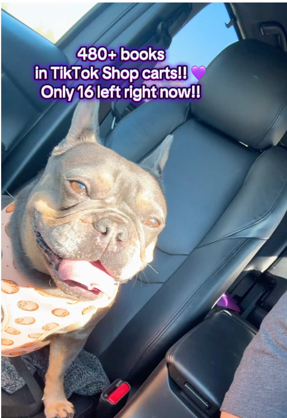 TikTok says over 480 people have my book sitting in their carts!! 🙌🏽 There’s only 16 left right now, so just maybe this is your sign to start healing in color!  ✝️📖 I love you all! 🫶🏽💜 #HealingInColor #EvenBrokenCrayonsStillColor #ChristianWomen #FaithBasedHealing #DVSurvivor   