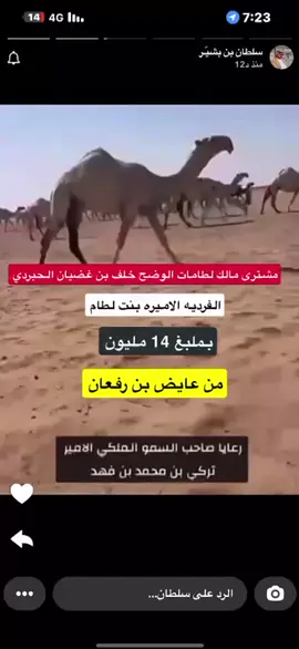 #مشترا #الشعب_الصيني_ماله_حل😂😂 #لطامات #الوضح #مالي_خلق_احط_هاشتاقات🧢