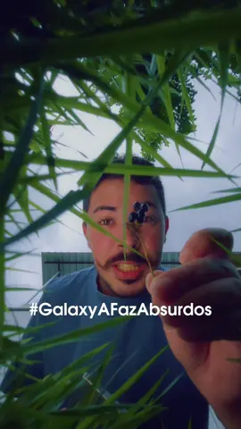 Era tóxica e eu não sabia,obrigado Galaxy A56 #GalaxyAFazAbsurdos @samsungbrasil 