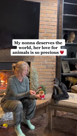 Follow me more ! #monkey #animalsofttiktok #comewithme #foryoupage 