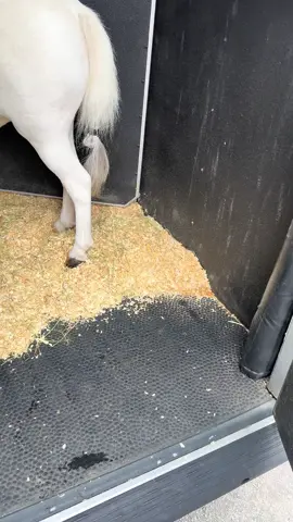 Duke Divinity School Visit 10/14/2025