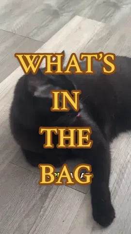 he’s an addict 🐈‍⬛ 