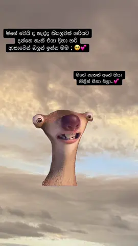#Meme #MemeCut #tiktok #fypシ゚viral #fyp 