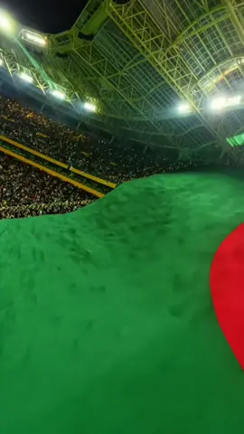 ملعب حسين أيت أحمد تيزي وزو 👀 stadium Houssin aït Ahmed  احتفالات لاعبي المنتخب الجزائري بعد التأهل ل كأس العالم 🌎🏆 #algeria #stadium #dzpower #الجزائر #fyp 